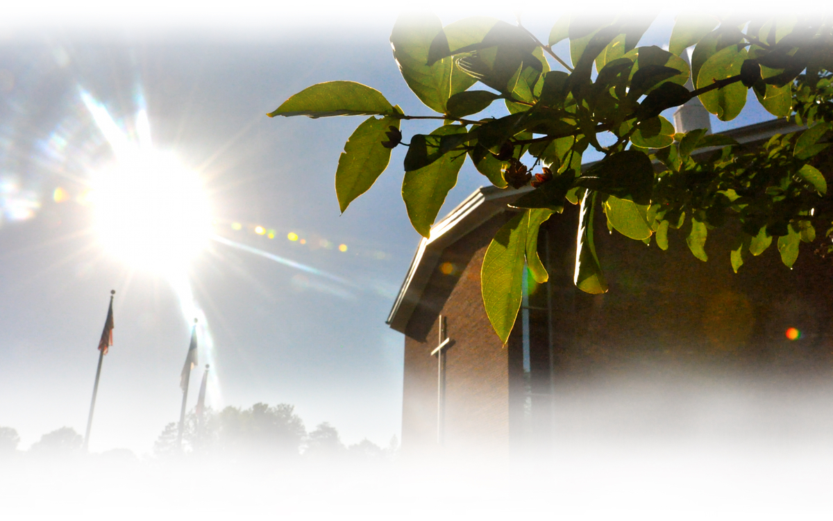 covheader.white